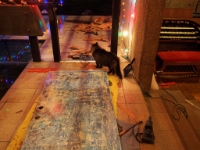 Front door repair 014